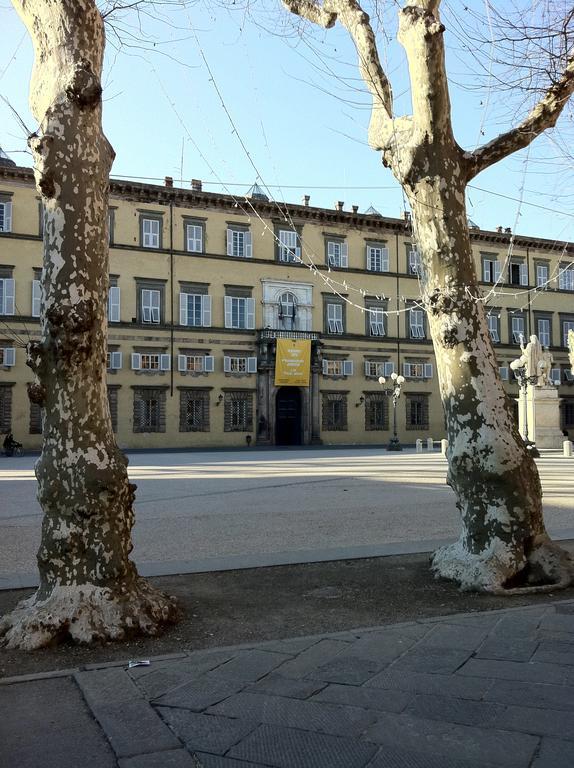 Casa Alba Hotell Lucca Exteriör bild